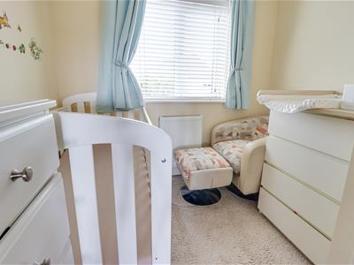 Picture 20